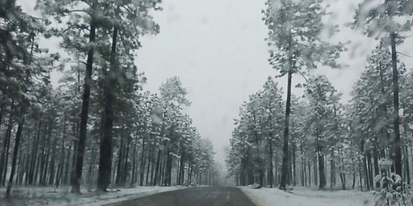 Registra Protección Civil presencia de nieve en tres municipios del estado