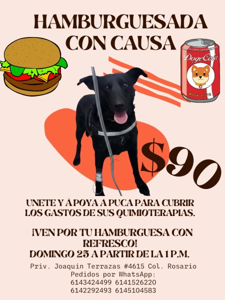 Hamburguesada con causa: Ayuda a Puca a vencer el cáncer