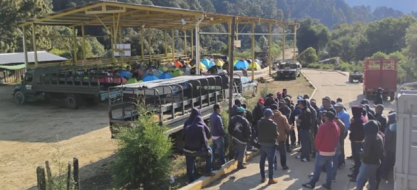 Pobladores bloquean a soldados que pretendían cortar plantíos de amapola en la Sierra de Guerrero