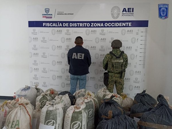Encuentra AEI y SEDENA 200 kilos de mariguana en brecha de Urique