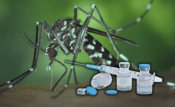 Suman cuatro muertes por dengue en 2026; avanzan planes para incorporar vacuna