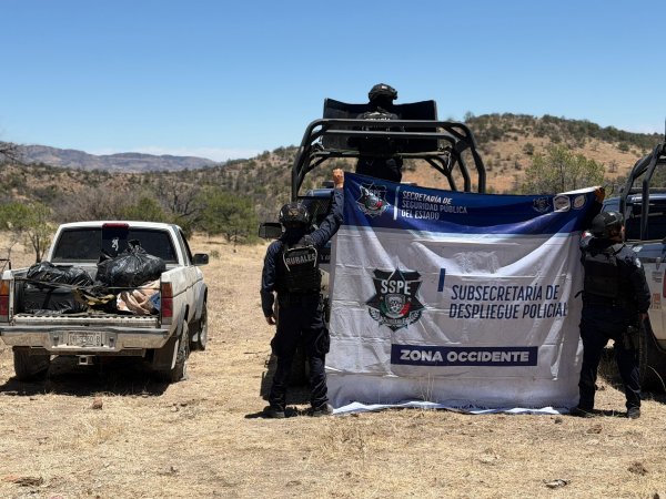 Asegura SSPE 89 kilos de marihuana y pick-up robada en Cusihuiriachi