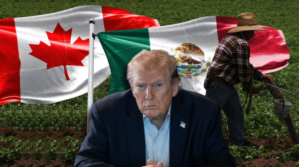 EU propone aranceles de al menos 10% a México y Canadá tras investigación por trabajos forzados