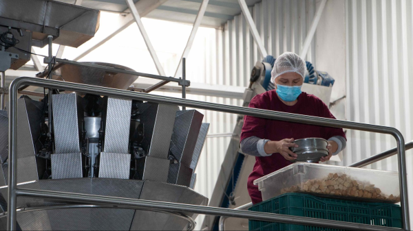 Corporativo Kosmos y la tecnología aplicada a servicios alimentarios