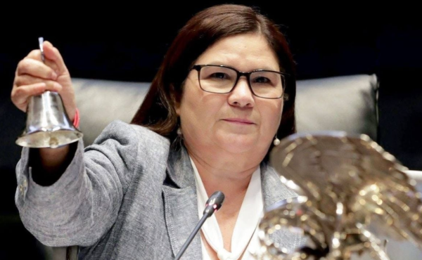 IEES sanciona a la senadora Imelda Castro por incurrir en promoción personalizada