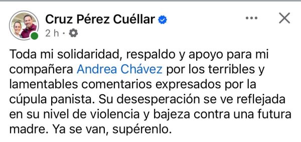 Apoyan compañeros del partido a Andrea Chávez tras declaraciones relacionadas con su embarazo