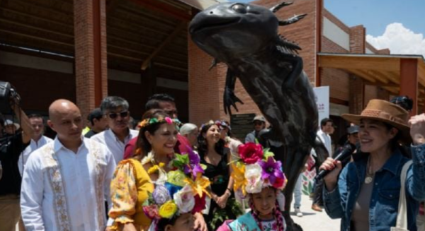 Mundial de futbol en México genera desánimo y preocupación: UNAM