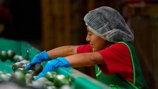 Retrocede la creación de empleo en México: se pierden casi 30 mil puestos formales en mayo