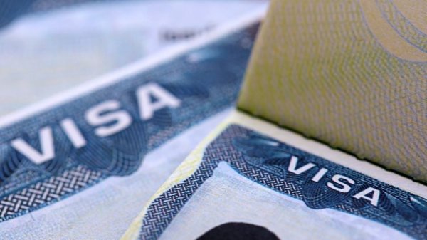Desmantelan grupo que traficaba personas desde Guatemala en Tamaulipas; detienen a dos con visas