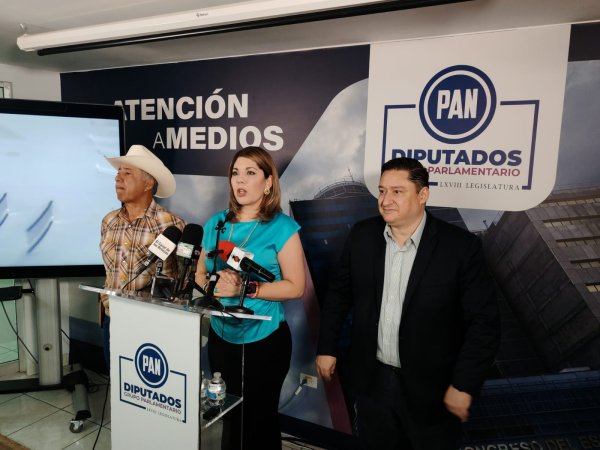 En Chihuahua se anularan elecciones donde se demuestre apoyo del crimen organizado a Morena