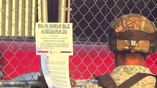 Armas y drogas aseguradas como resultado de operativo conjunto; hay 15 detenidos