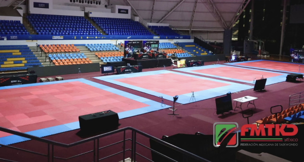 Revés a la Conade: juez la obliga a reconocer a la Federación Mexicana de Taekwondo