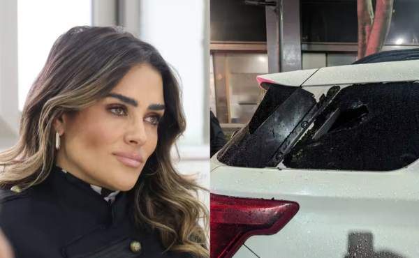 Alessandra Rojo de la Vega denuncia agresión en la Zona Rosa y señala a gente de Diana Sánchez Barrios