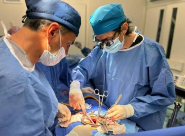 Refrenda Secretaría de Salud compromiso con la donación de órganos y tejidos