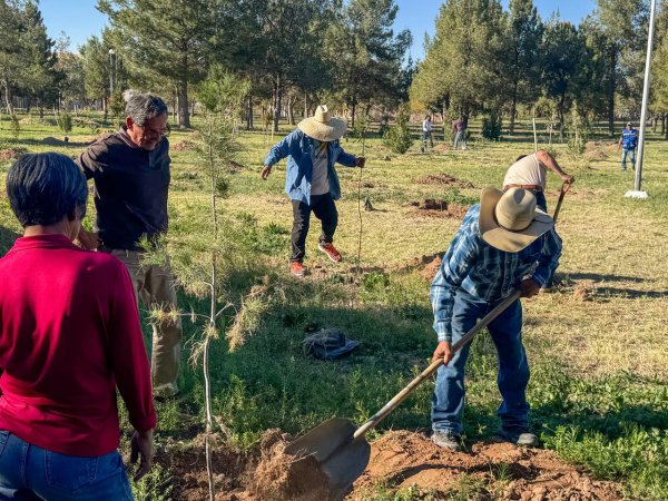 Fortalecen reforestación del Parque Fundadores en Delicias  para mejorar el entorno ambiental