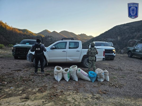 Asegura Operativo una pick up y 7 costales con 44 kilogramos de mariguana