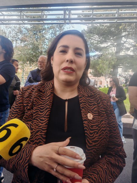 Llega a comisión informe de Maru, Joss Vega calcula tener dictamen en abril