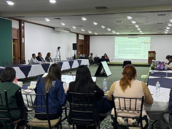 Participa FEDH en mesa de trabajo para la actualización del Protocolo de Investigación de Desaparición Forzada y Cometida por Particulares