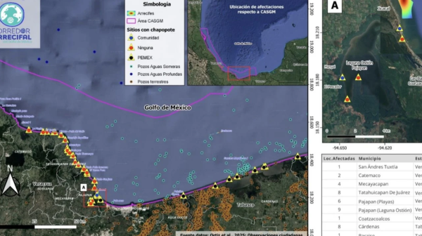 Denuncian que derrame de petróleo en costas de Veracruz y Tabasco no ha sido atendido