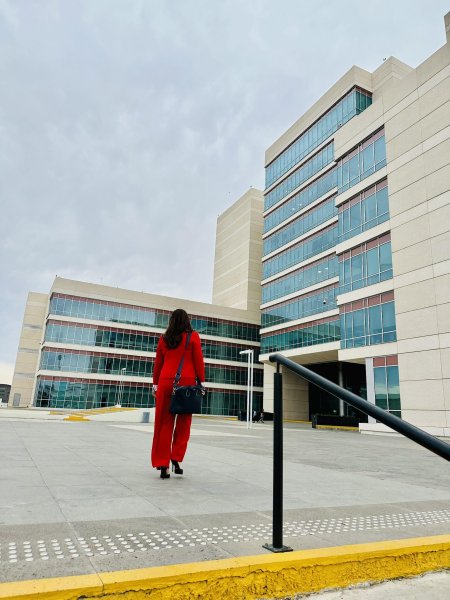 Designan a Rocío Sarmiento como titular del Instituto de Defensoría Pública del TSJ