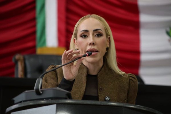 Brenda Ríos impulsa reformas para fortalecer el bienestar animal: regular eutanasia, limitar pirotecnia y sancionar maltrato