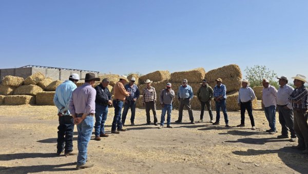 Invierte Gobierno del Estado más de 231 mdp en el desarrollo agropecuario de la región sur