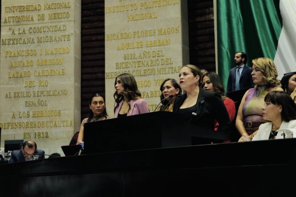 El PT incluyó en el Plan B, recorte a Congresos y regidores, según Lilia Aguilar