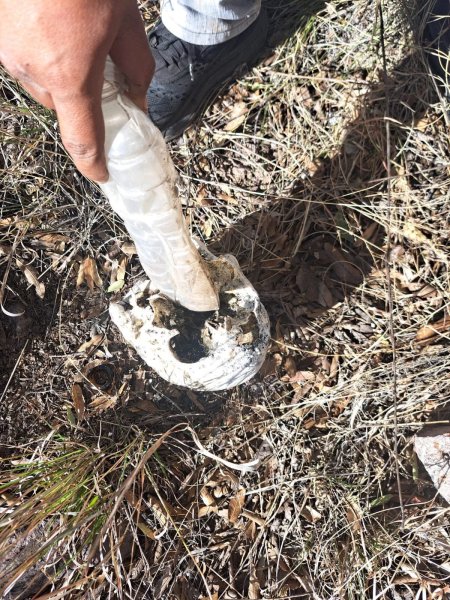 Extraoficial: localizan bolsas con presuntos restos humanos en carretera Parral–Guadalupe y Calvo