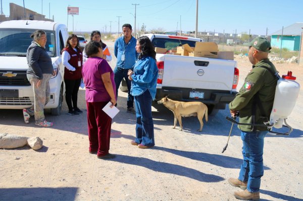 Refuerzan Diputada Jael Argüelles y Ecología fumigación en el kilómetro 29 ante riesgo de rickettsiosis