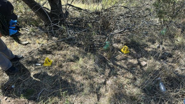 Localiza Fiscalía Zona Sur restos óseos durante rastreo en carretera a Guadalupe y Calvo