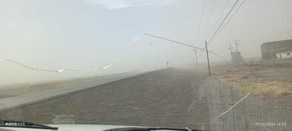 Prevé CEPC viento y descenso de temperatura para las próximas horas