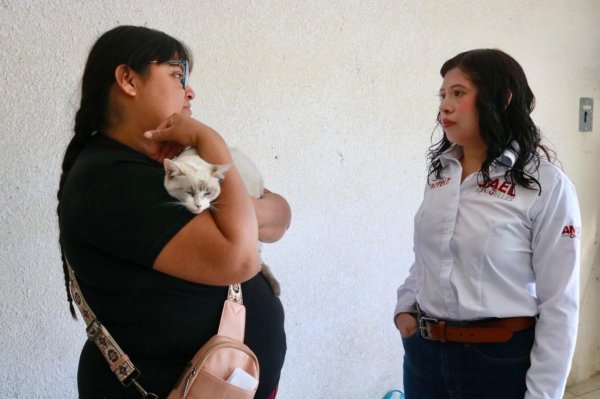 Ofrece Jael Argüelles esterilización gratuita de perros y gatos en Casa de Enlace