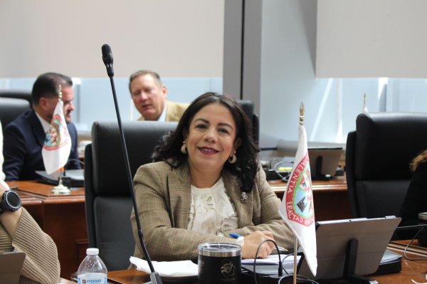 Secretario de Gobierno debe priorizar problemáticas sociales y no campañas de difamación: diputada Rentería