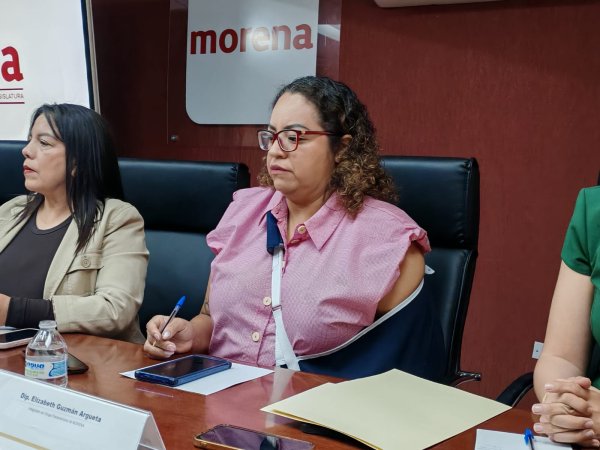 Se analizan comentarios de Santiago De la Peña por violencia política de género: Elizabeth Guzmán