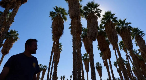 Sequía en EU se agravaría en primavera y ya impacta a más de la mitad del país