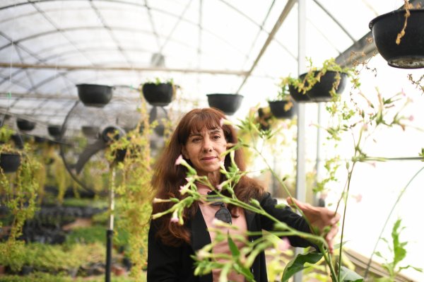 Experta de la UACH da consejos para favorecer el crecimiento saludable de las plantas y el equilibrio de los ecosistemas