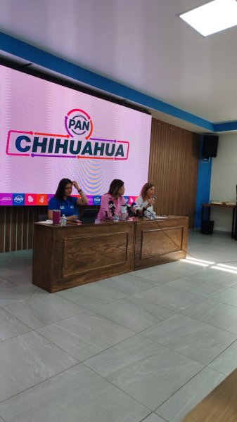 Varios estudios llevaron a la apertura del PAN a las candidaturas: Manque Granados