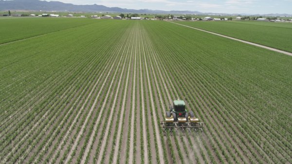 Abre Secretaría de Desarrollo Rural convocatoria para el aseguramiento de cosechas ante riesgos climáticos