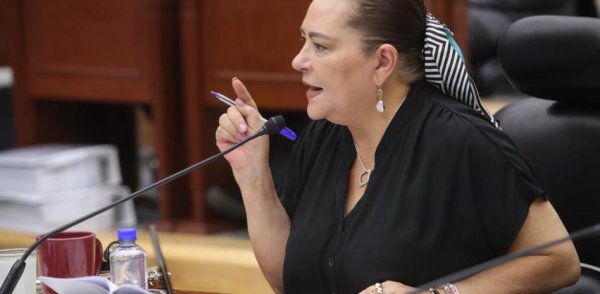 Siete consejeros del INE chocan con Guadalupe Taddei por texto sobre ‘Plan B’ de la reforma electoral