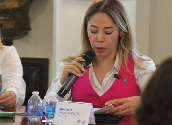 Regidora Ana Lilia Orozco solicita construcción de mural conmemorativo a la No Violencia Contra Mujeres