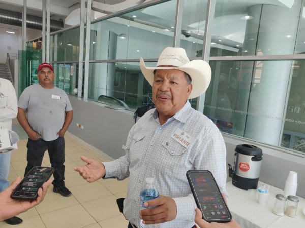 Ahorca federación a frijoleros, bajan precio a 20 pesos kilo, envían carta a Sheinbaum