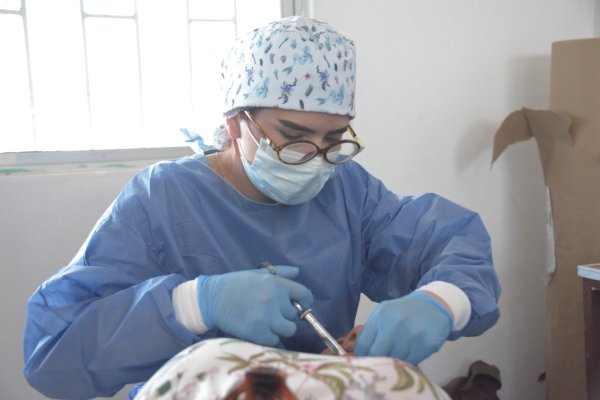 Brinda FO-UACH atención comunitaria en San José del Sitio