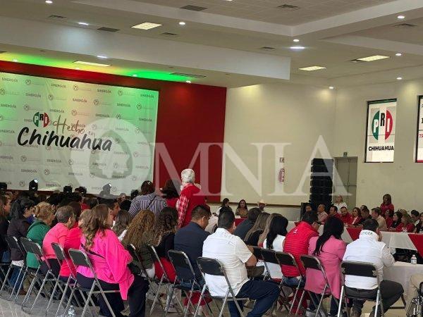 Plan de Trabajo, Registro de Defensores y Foros Temáticos en las aprobaciones del Consejo Estatal del PRI: Domínguez