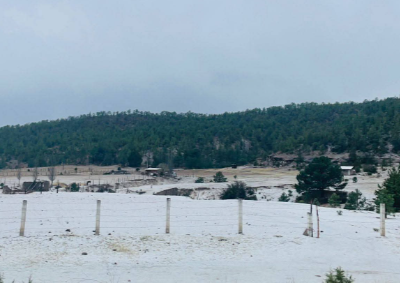 Cae granizada en Bocoyna; Deja paisaje blanco