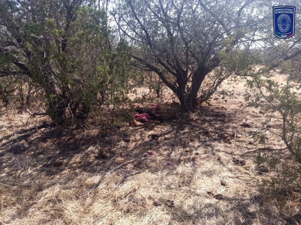 Localiza FGE Occidente osamenta en brecha de Barraganes