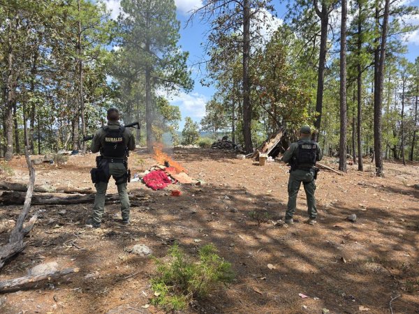 Continúan resultados de Gilberto Loya tras operativo en Guadalupe y Calvo