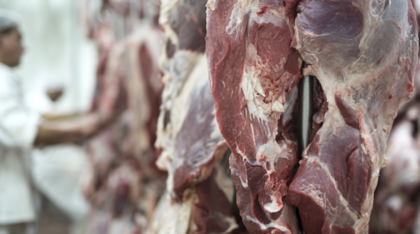 Carne de res sudamericana sufre restricciones en Europa y China