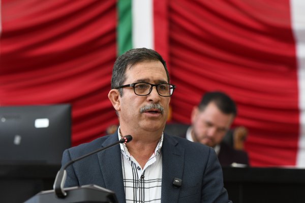 Urgen medidas para enfrentar a las plagas forestales: Congreso