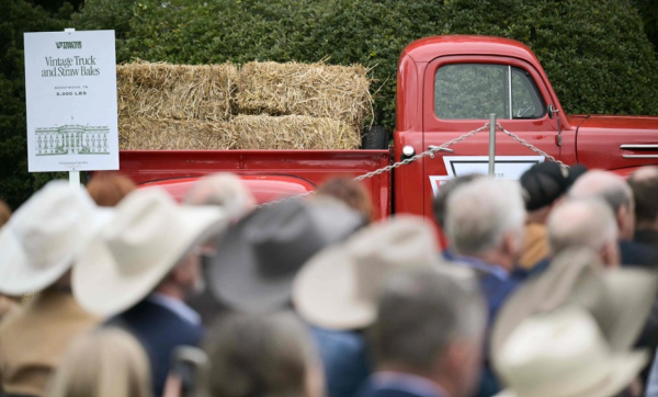 Agricultores de EU plantarán menos maíz ante alza de fertilizantes por guerra en Irán