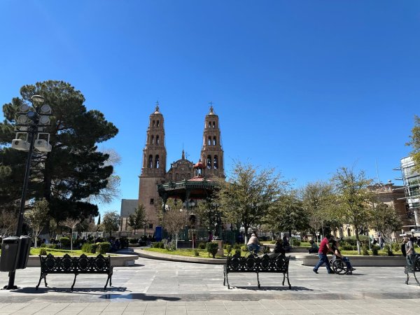 Viernes soleado; con una máxima de 27 grados en la ciudad